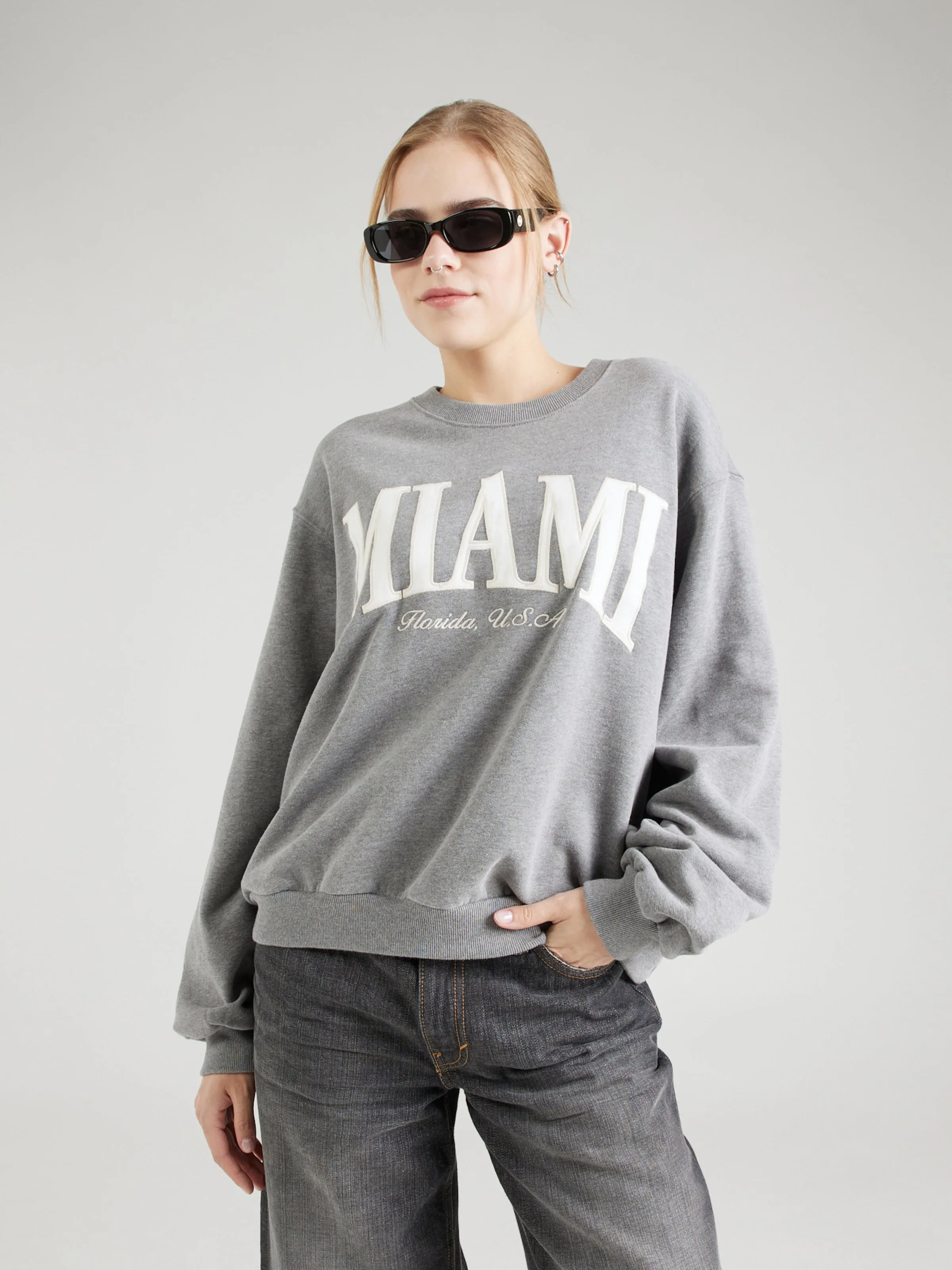 Sudadera 'EMEA' HOLLISTER en Gris